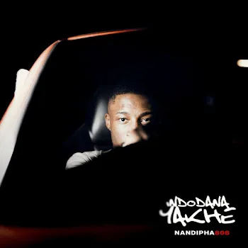 Nandipha808 Government (Feat. Dt.mo) Ft Mpho Spizzy & Nevrr49