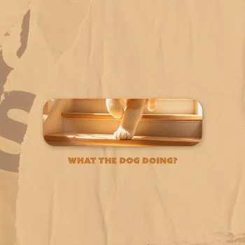 Out Of Flux What The Dog Doing? (Creative Cuts)