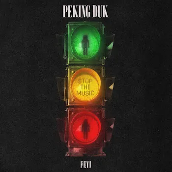 Peking Duk Stop The Music Ft Feyi