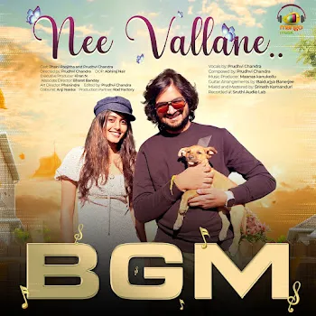 Prudhvi Chandra Nee Vallane Bgm