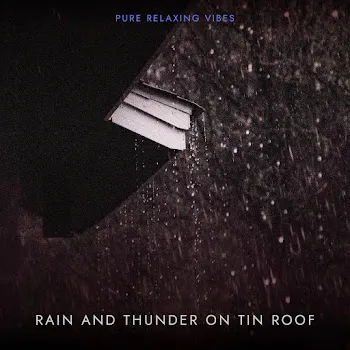 Pure Relaxing Vibes Rain And Thunder On Tin Roof