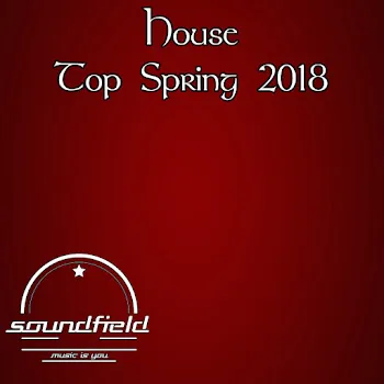 Roman Depthsound Soul Vibes