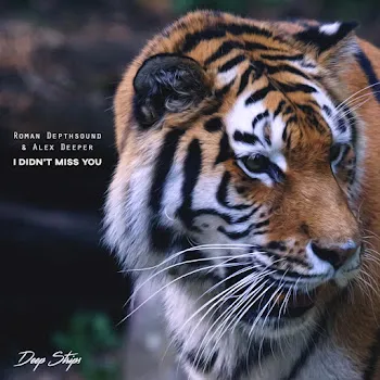 Roman Depthsound I Didn't Miss You Ft Alex Deeper