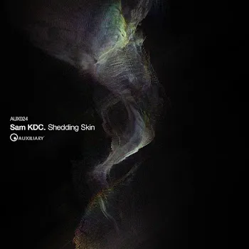 Sam Kdc False Idols