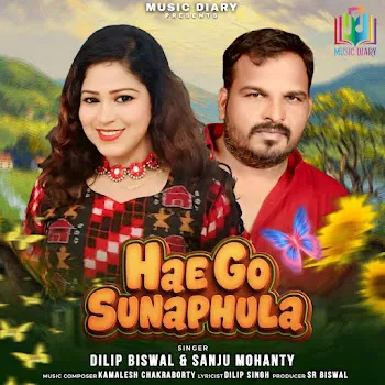 Sanju Mohanty Hae Go Sunaphula Ft Dilip Biswal