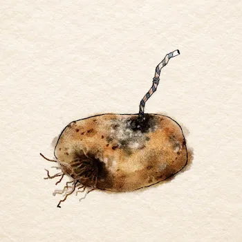 Sara Beth Old Potatoes