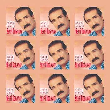 Seyfi Doğanay Kime Ne