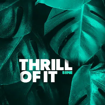 Siine Thrill Of It (Chez Remix) (Feat. Frank Moody)