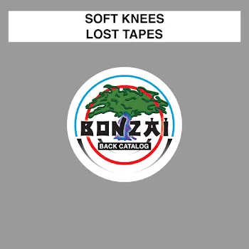 Soft Knees Ai Dub