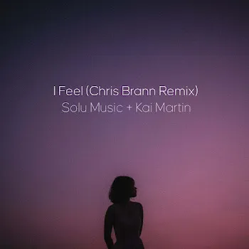 Solu Music I Feel (Chris Brann Remix) (Feat. Kai Martin)