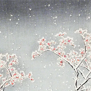 Sp Kowi Chiyoda