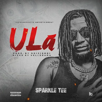 Sparkle Tee Ula