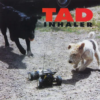 Tad Just Bought The Farm