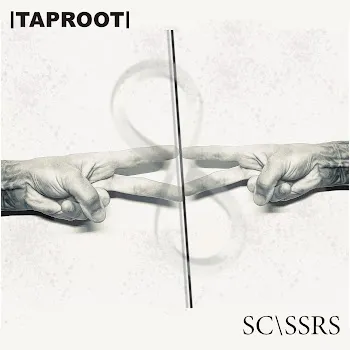 Taproot Hey (Bonus Track)